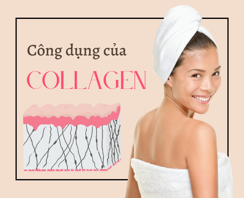 Công dụng của Collagen